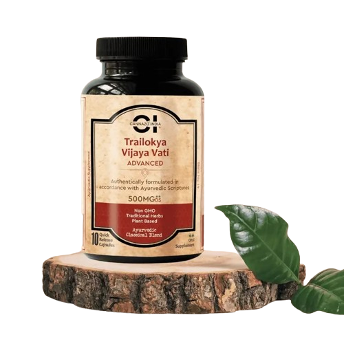 Trailokya Vijaya Vati Advanced (Ayurvedic Classic Blend)