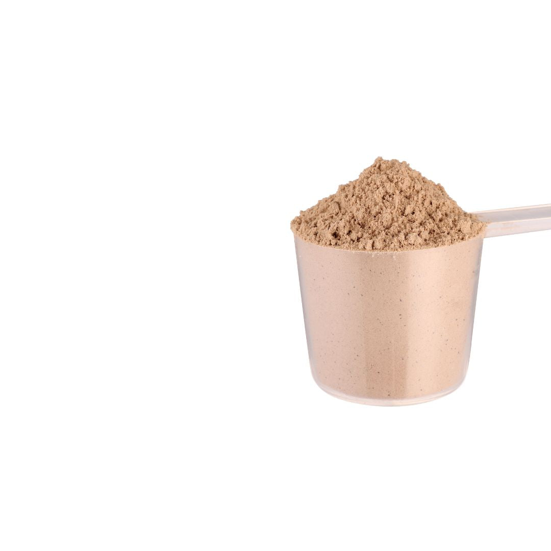 Noigra - Hemp Protien Powder (Chocolate)